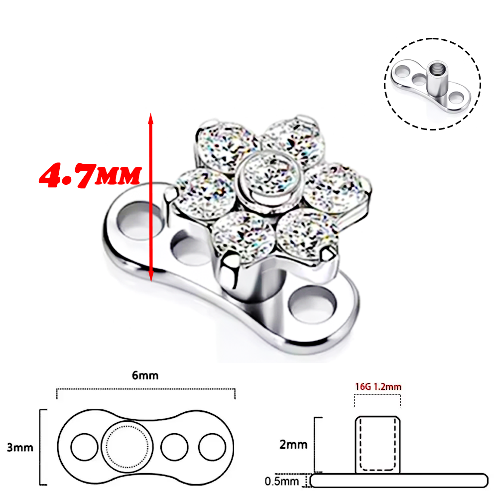 เครื่องประดับเจาะร่างกายแบบซ่อ - Body Jewelry Quality บทวิจารณ์และราคา